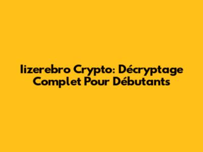 Iizerebro Crypto: Décryptage Complet Pour Débutants
